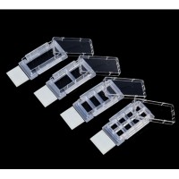 Cell Culture Slides 6 /PACK, 2 PACKS/CASE