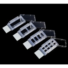 Cell Culture Slides 6 /PACK, 2 PACKS/CASE