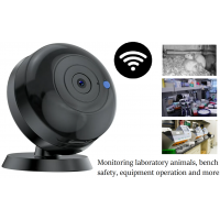 Mini Digital Surveillance Camera