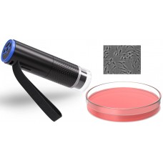 Portable Digital Microscope